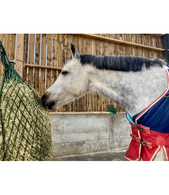 Filet à foin FlexiStrong pour chevaux PP en ligne